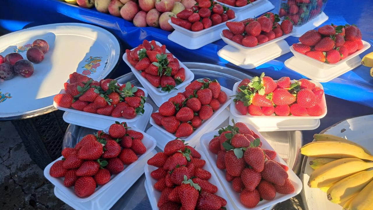 Antalya'da meyve fiyatları!