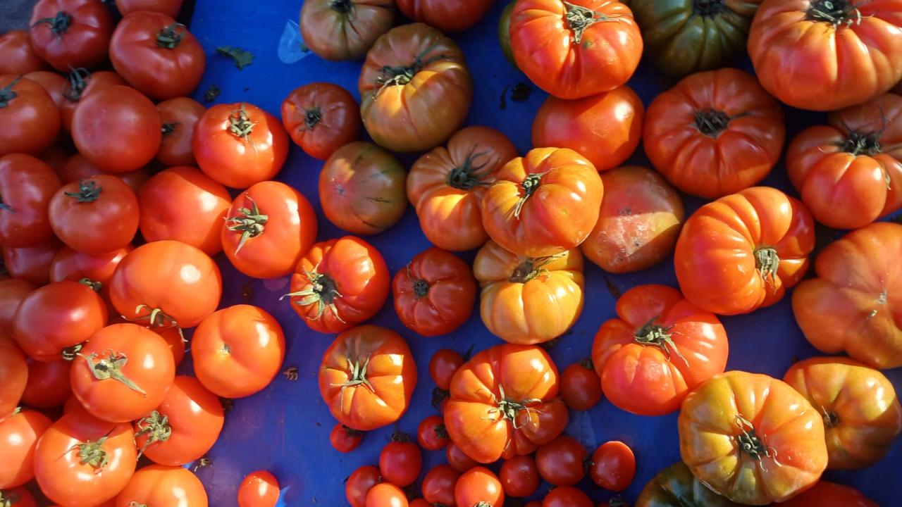 Antalya’da yaz sebzeleri cep yakıyor!