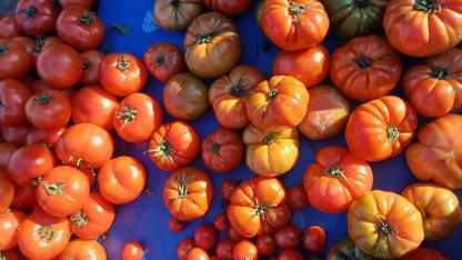Antalya’da yaz sebzeleri cep yakıyor!