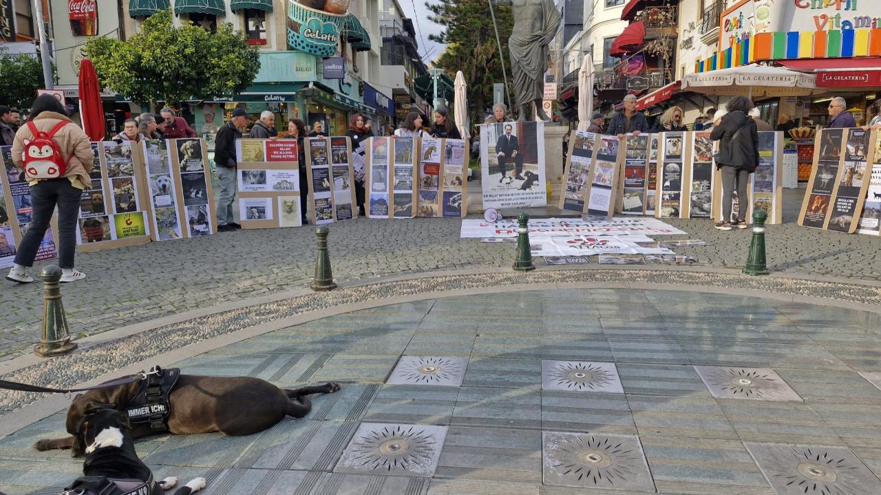 Attalos Pati Gönüllüleri ses yükseltti