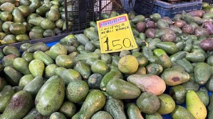 Avokado tüketmek lüks oldu!