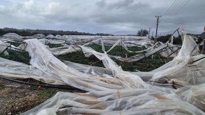 Başkan Güneş: “Bu bir doğal afet değil, yılların ihmali”