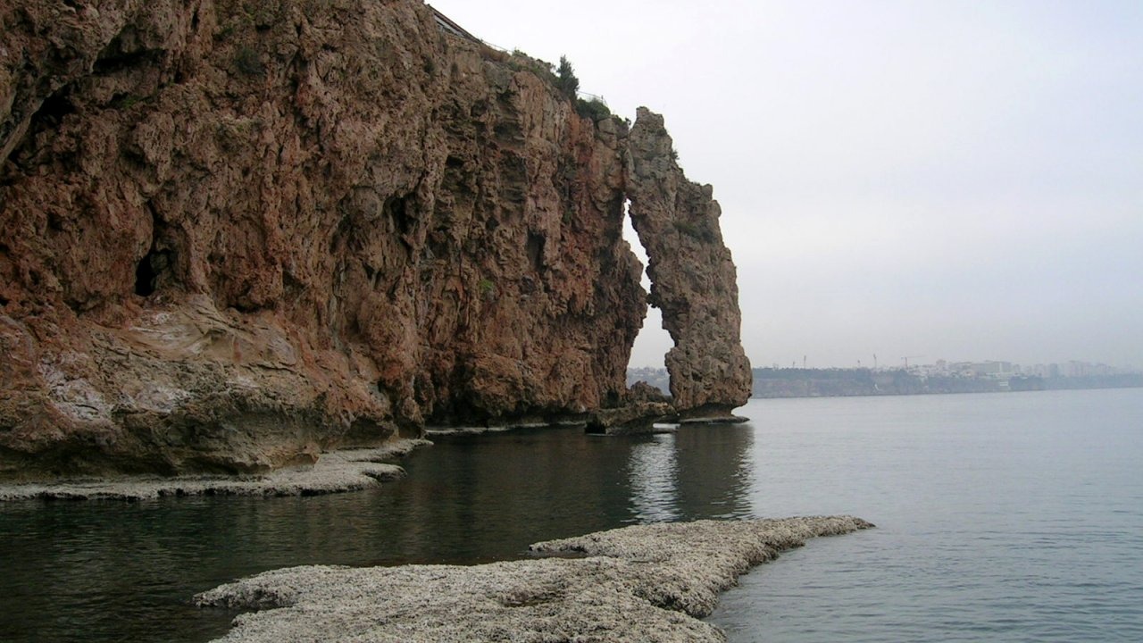 Dünyada benzeri yok ama koruması gevşetildi