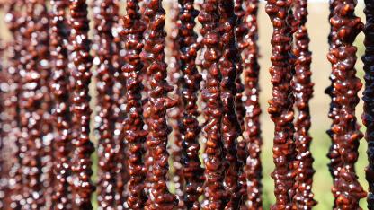 Elazığ’a özgü lezzet: Orcik!