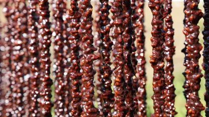 Elazığ’a özgü lezzet: Orcik!