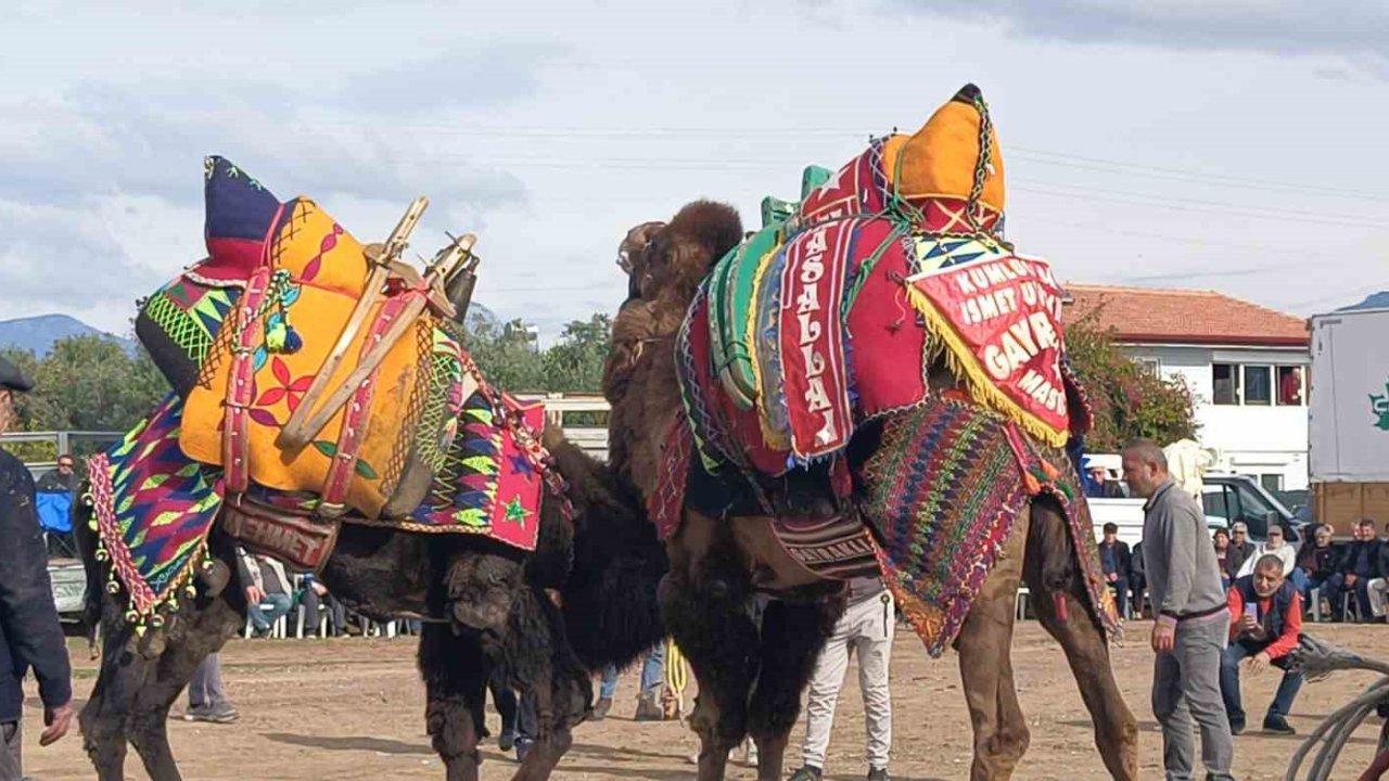 Hastalığın vurduğu gelenek askıya alındı
