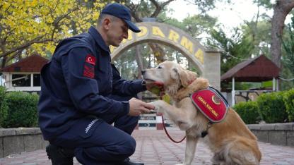 JAK köpeği 'Ocak', 8 yılda 48 can kurtardı