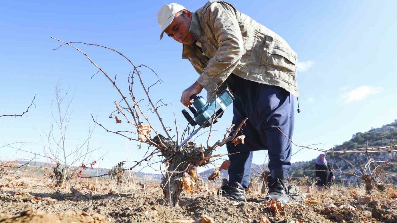 Organik tarım desteğiyle üretim doğallaşıyor