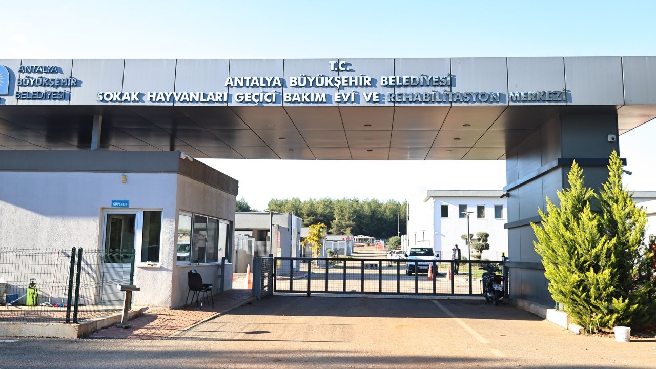 Sokak Hayvanları Geçici Bakımevi can dostlara yeni yuva yolu oluyor