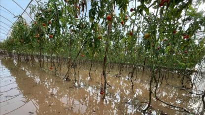 TARSİM heyeti Antalya'da selden etkilenen bölgeleri değerlendirdi