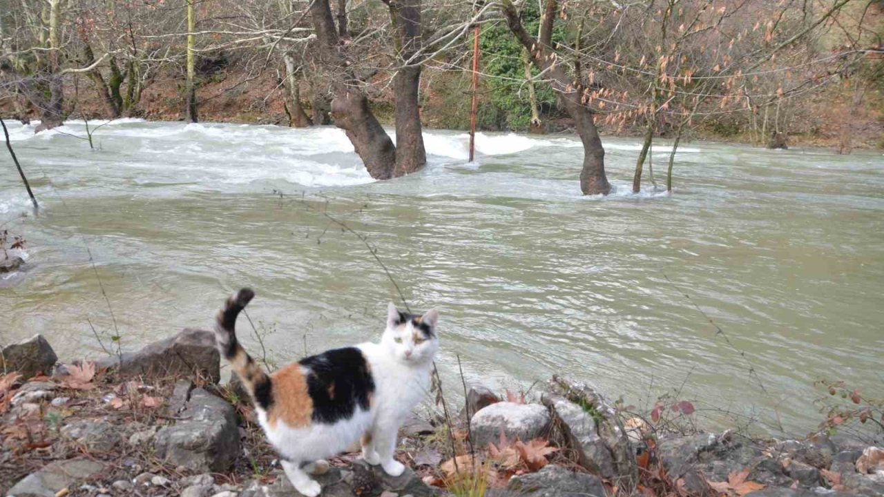 Toroslar’da yağış bereketi kuruyan Üzümdere Irmağını yeniden canlandırdı, şelaleler coştu