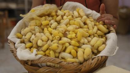 "Yaşayan İnsan Hazinesi" ödülü