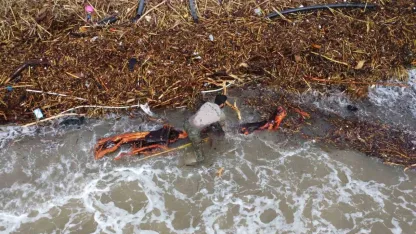 Sel sonrası ’milyonluk’ yazlıkların önünde ’ekmek’ mücadelesi