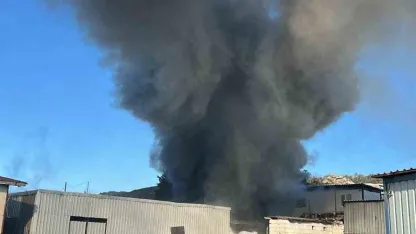 Bodrum’da işçilerin kaldığı konteyner alevlere teslim oldu