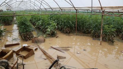 Geçen haftaki yağış ve hortumun Antalya'ya faturası 300 milyon TL