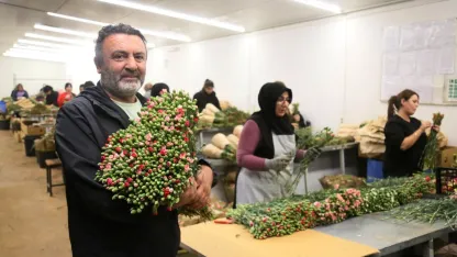 Antalya'dan 'Sevgililer Günü' için Avrupa'ya 75 milyon dal çiçek
