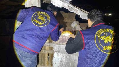 Jandarma kayıp 5 koyun için 3 iş yeri ve 9 meskene ait toplam 24 saatlik güvenlik kamerasını saniye saniye inceledi