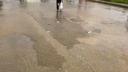 Bodrum’da sağanak baskını: Gölet taştı, asfalta balık yağdı