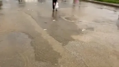 Bodrum’da sağanak baskını: Gölet taştı, asfalta balık yağdı