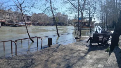 Antalya'da kuvvetli yağış 6 ilçede hasara neden oldu, mahsur kalan hayvanlar kurtarıldı