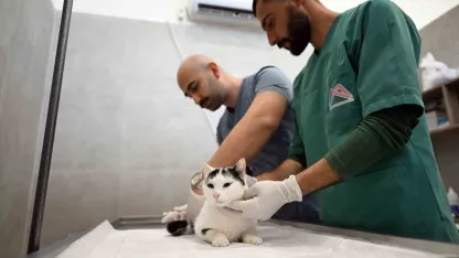 Mersin’de sokak kedileri için yeni merkez hizmete girdi