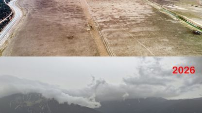 Hayvanların otladığı Avlan Gölü'nde su sevinci