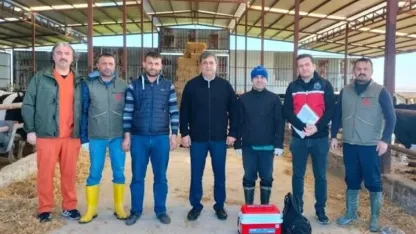 Büyükbaş hayvanlara şap aşılaması