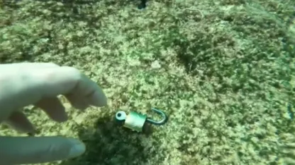 Denizden 'büyü malzemesi' çıkarıyor