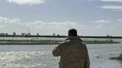 Seyhan Nehri taştı, Tarsus’ta tarım arazileri sular altında kaldı