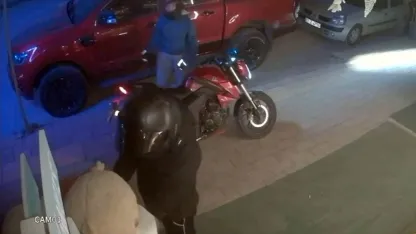 Çiçekçiden pelüş ayı hırsızlığı kamerada