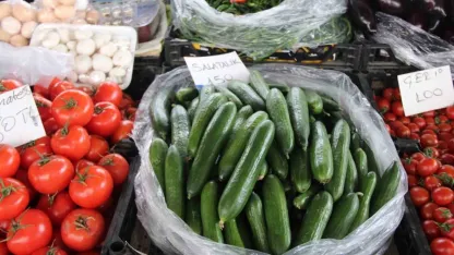 Seralar zarar gördü, Muğla’da salatalık rekor fiyata ulaştı