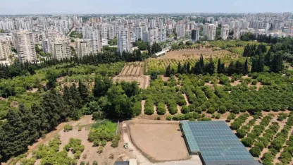 Türkiye'nin kaybı Antalya'yı aştı