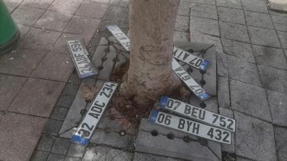 Antalya’da kayıp plakalar ağaç altına yığıldı