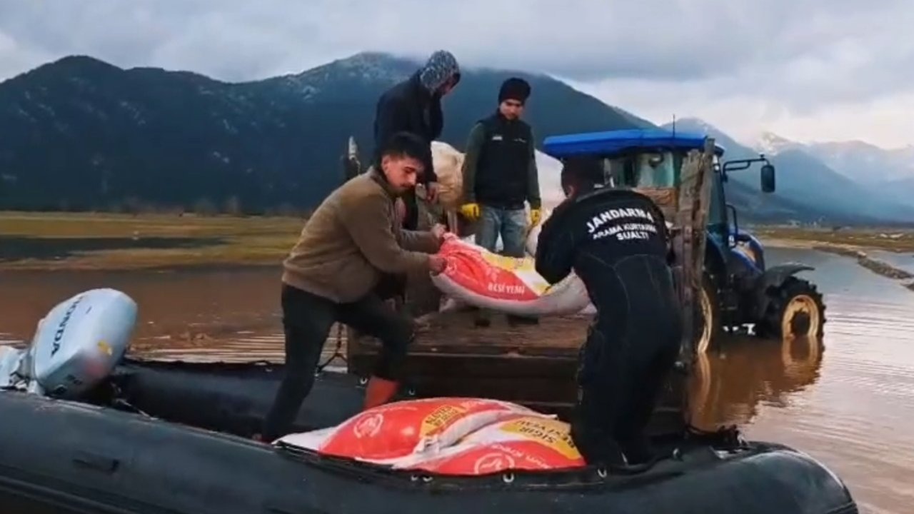 Aşırı yağışta mahsur kalan çoban ve hayvanlara jandarmadan yardım