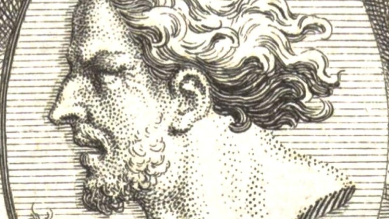 Delidir ne yapsa yeridir