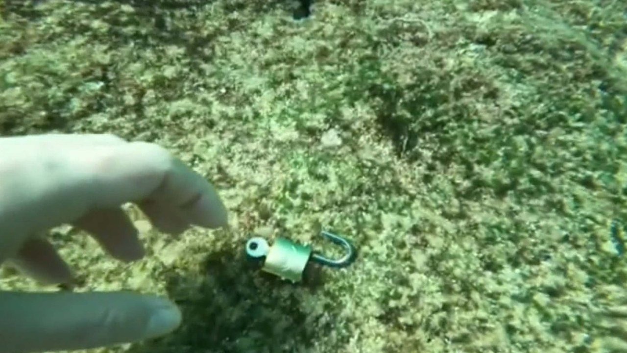 Denizden 'büyü malzemesi' çıkarıyor