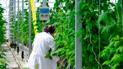 Elara Tarım seralarda verimliliği "Su Kontrolü ve Drenaj Yönetimi" ile artırıyor