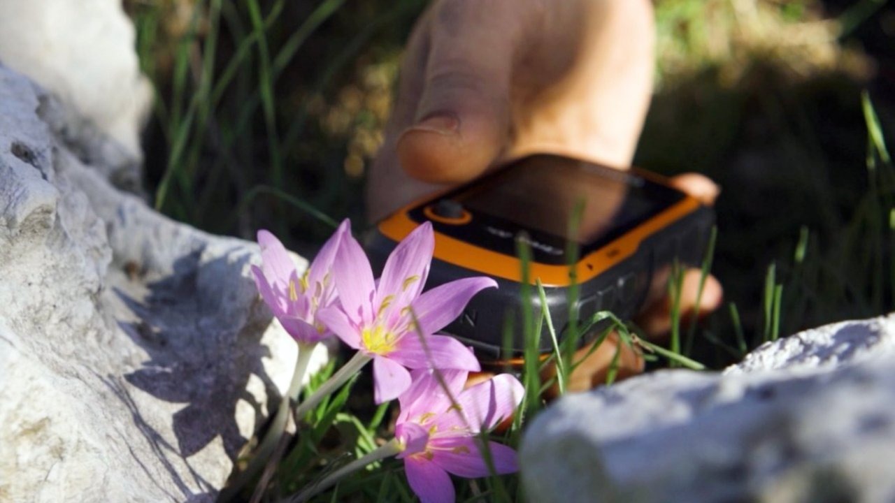 GPS verileri incelendi; orkidelerde kaçak söküm alarmı