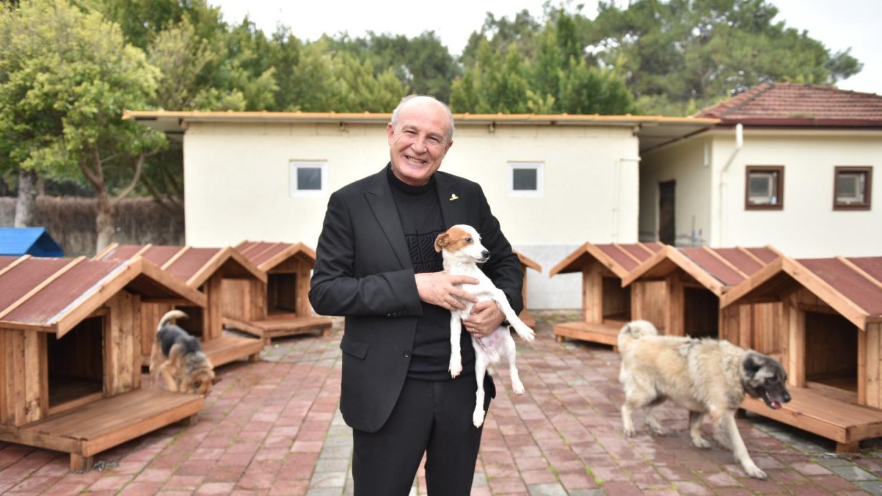 Kepez’de sokak hayvanlarına sıcacık yuvalar