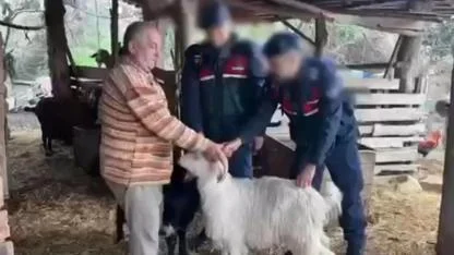 Küçükbaş hayvan hırsızlığı yapan 3 şüpheli tutuklandı