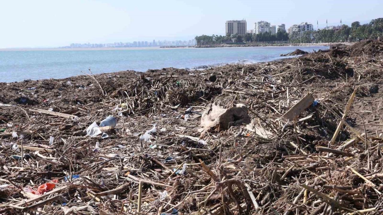 Mersin sahillerinde selin denize taşıdığı balçıklar temizleniyor
