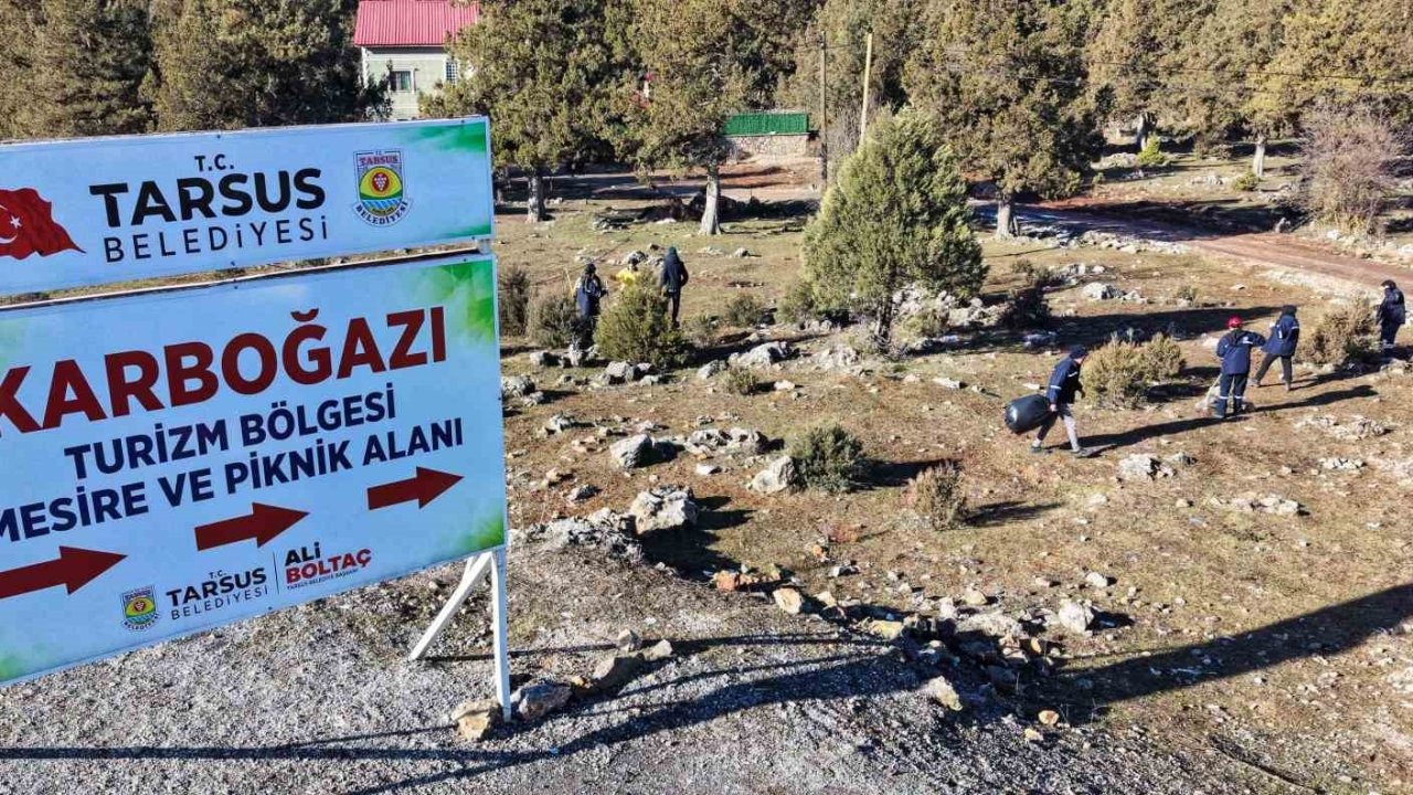 Piknik sonrası doğa temizliği