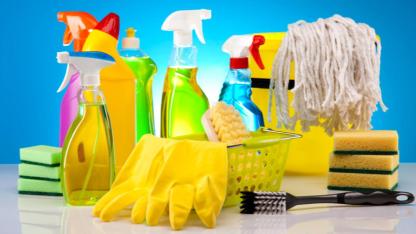 GIDA VE TEKİZLİK ÜRÜNLERİ SATIN ALIM İLANI