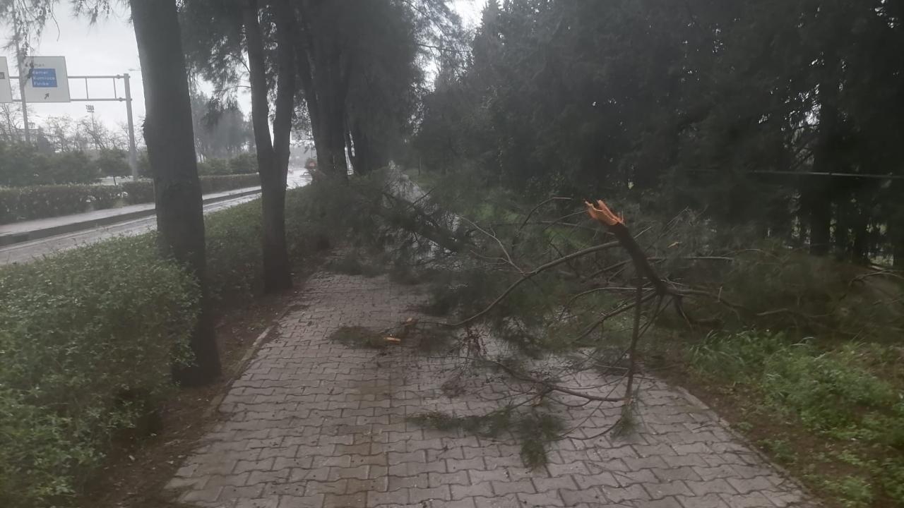 Sağanak ve fırtına hayatı olumsuz etkiledi