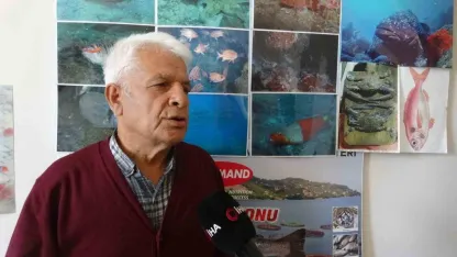 Poyraz, Akdeniz’deki en büyük denizanası türünü Antalya Körfezi’ne soktu