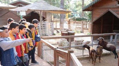 Çocuklar hayvanları ve yaban hayatını tanıdı