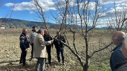 Üreticilere budama eğitimi