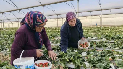 Kadınlar Gününü tarlada çalışarak kutladılar