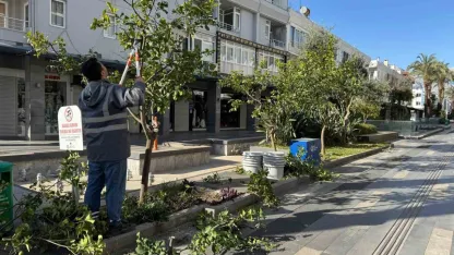 Büyükşehir’den Kemer’de peyzaj düzenlenesi