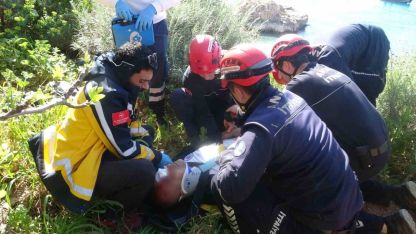 İncir ağacı hayatını kurtardı